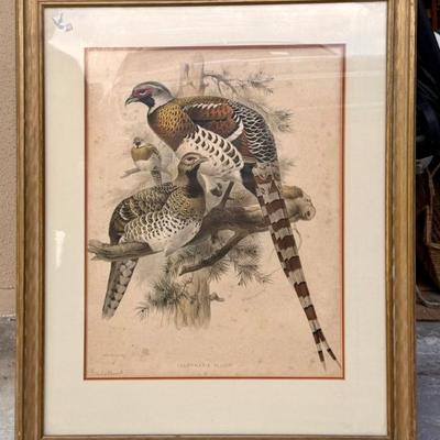 Sale Photo Thumbnail #357