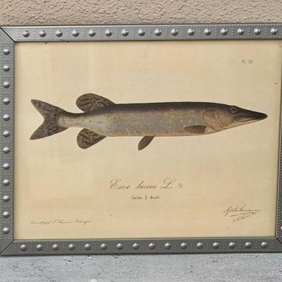 Sale Photo Thumbnail #381