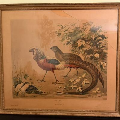 Sale Photo Thumbnail #262