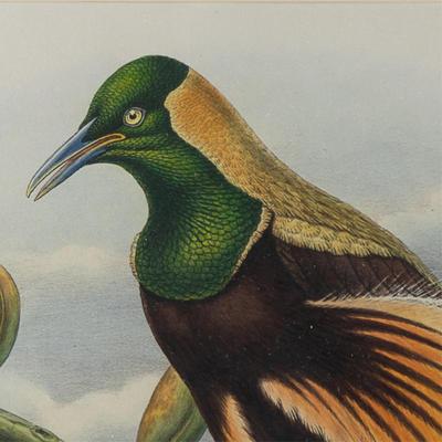 Sale Photo Thumbnail #667