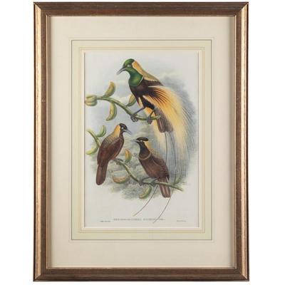 Sale Photo Thumbnail #665