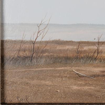 Sale Photo Thumbnail #1578