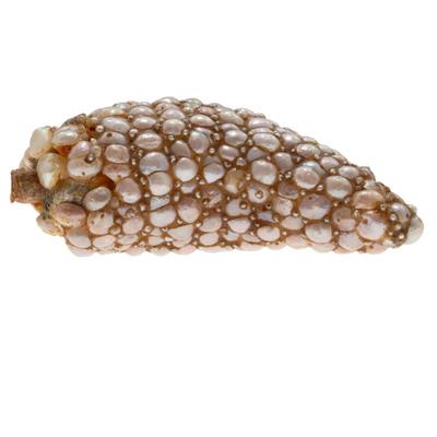 Sale Photo Thumbnail #1694