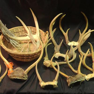 Basket Of Antlers And More
