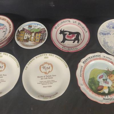 Collectible Plates From various Travels