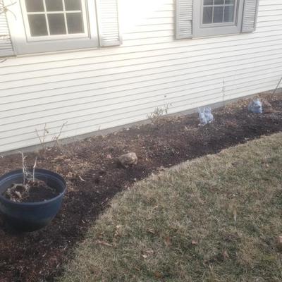 Sale Photo Thumbnail #297