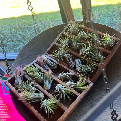 Sale Photo Thumbnail #35