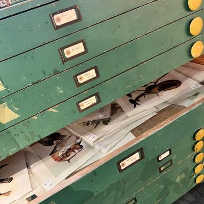 Sale Photo Thumbnail #46