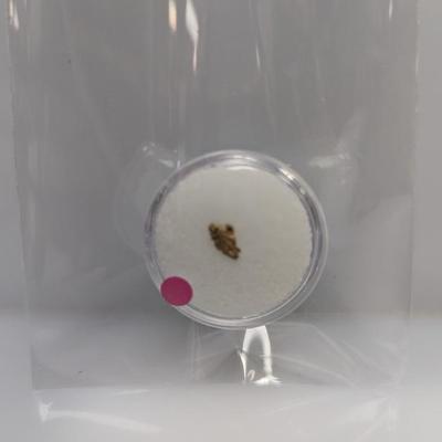 Sale Photo Thumbnail #985