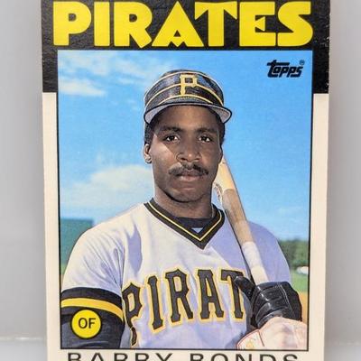 Sale Photo Thumbnail #297