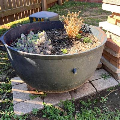 Sale Photo Thumbnail #11