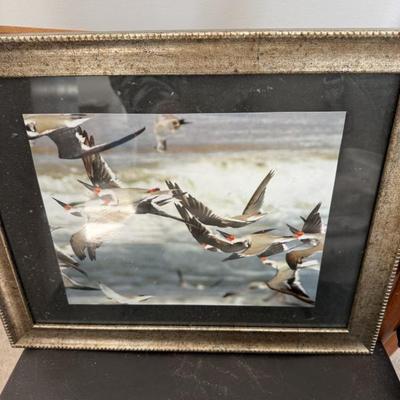 Sale Photo Thumbnail #401