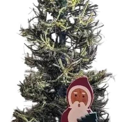 7 Foot Christmas Tree With Santa Decoration