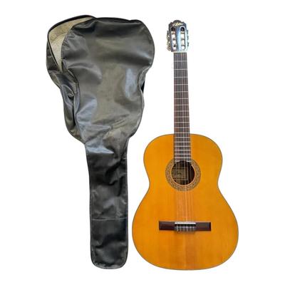 Aria Model 790 Guitar w/ Soft Case