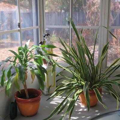 Sale Photo Thumbnail #28