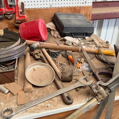 Sale Photo Thumbnail #258