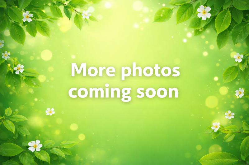 Sale Photo Thumbnail #46