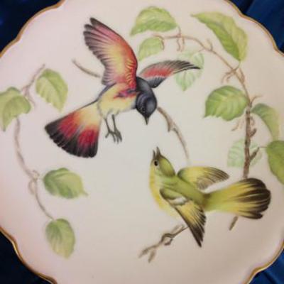 Birds of Dorothy Doughty dessert plates - full series of 12