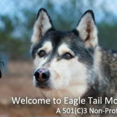 Eagle Tail Mountain Wolf Sanctuary